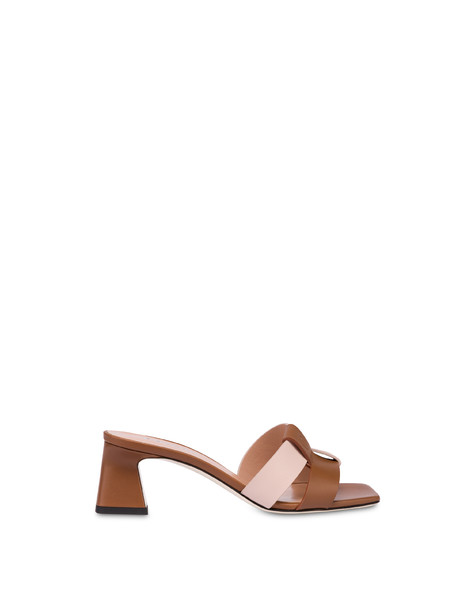 Sabot Rodeo/desert